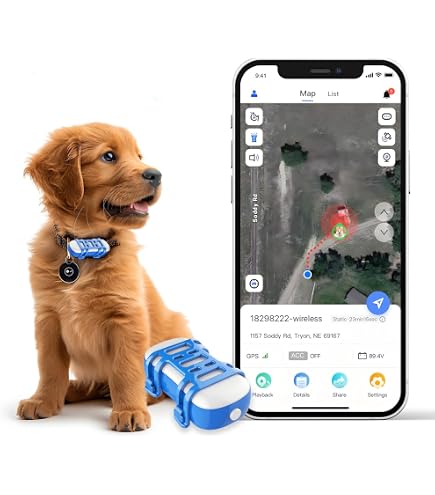 Dandin Localizzatore GPS Mini – Per Cani, Gatti E Oggetti, Compatibile IOS/Android, Senza Abbonamento