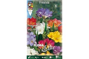 PRGA BULBI AUTUNNALI FREESIA SINGLE MIXED CONFEZIONE DA 10 BULBI BULBS BULBES