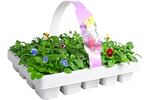 CARBETH PLANTS Viola 20 Pack - Large Plants in a Mix of Colours - Great Value Viola Plants - Explosive Colours of Violas – Colourful Flowers – 20 Plants Tray