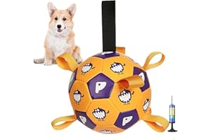 YUEMING Pelota Juguete Perro, Juguetes Interactivos de Fútbol para Perros con Lengüetas de Agarre y Bomba, Pelota Juguete Duradera para Perros Medianos y Pequeños para Juegos de Buscar y Tirar, 19cm