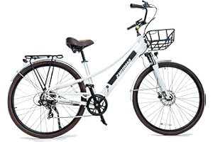 E MOTORAD - RIDE THE ELECTRIC REVOLUTION EMotorad Plymouth | Bicicleta Eléctrica Urbana para Adultos | Neumáticos CST 700C | Motor 36V 250W | Batería 420 WH Extraíble | Cuadro Bajo de Aluminio | 5 Niveles de Asistencia
