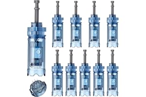 CHARME PRINCESSE 10 Stück Microneedling Nadeln 12 Pins Ersatz Dermapen Nadeln Microneedling Pen Nadelpatronen Micro Nadeln Kartuschen für Derma-Pen A8S/M8S/A9 mit Bajonett Port EN47-10-12P