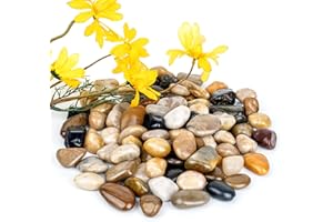 CLLEYLISE Pietre per Giardino,50 Pezzi di Sassolini Decorativi per Vasi,Sassi Decorativi Naturali,Utilizzabili Come Sassi Ghiaia Acquario,Pietre per Giardino da Esterno,Decorazioni Giardino,Laghetto da Giardino