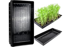 QTUN 5 Piezas Bandejas Semilleros sin Agujeros de Drenaje, Bandeja de Germinación de Plantas, Bandejas para Inicio de Semillas, Mini Invernadero Bandejas de Cultivo Germinación