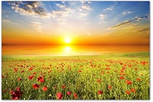 AUGENBLICKE WANDBILDER 120x80cm - Fotodruck auf Leinwand und Rahmen Feld Gras Mohnblumen Himmel Sonne - Leinwandbild auf Keilrahmen modern stilvoll - Bilder und Dekoration