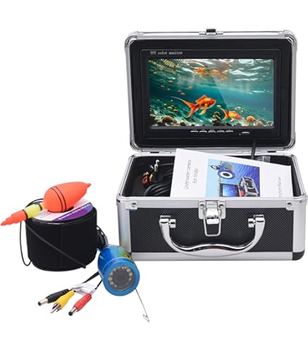 Caméra de pêche sous-marine - DILWE - 4,3 pouces - Écran IPS - Batterie