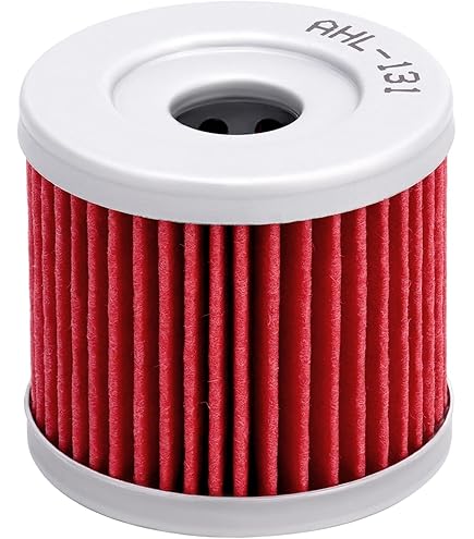 Hiflo HF131 Filtro Olio Motore, Compatibile Con Suzuki UH 125 Burgman (2007) E Altri Modelli