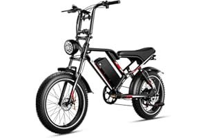 EGGKING Bicicletta Elettrica 20" x 4.0 Fat Tire, Doppia Sospensione e 7 Velocità Bici Elettrica, E-Bike per Adulti, Batteria Rimovibile 48V 17.5/25 Ah, Display e Controllo APP