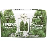 Dei Colli Fiorentini (Cipresso)