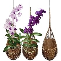 Hanging Orchid Planter,6 Pack Thai Bamboo Woven 5 Inch Orchid Hanging Baskets Metal Hook Bird Nest Style Plant Hangers Trellis Gazebo Indoor Outdoor