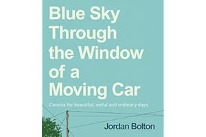 Blue Sky Through the Window of a Moving Car: Comics for beautiful, awful and ordinary days