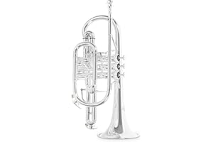 Roy Benson Bb-Cornet CR-302S (corneta profesional con diámetro ML, campana de latón de 119 mm, tudel de latón dorado, correderas exteriores de alpaca y válvulas de acero inoxidable), plateado