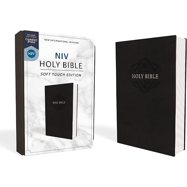 NIV, Holy Bible, Soft Touch Edition, Leathersoft, Pink, Comfort