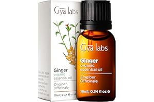 ‎GYA LABS Gya Labs Reines Bio-Ingweröl für Bauchfett und Schmerzen – 100% natürliches ätherisches Bio-Ingweröl in therapeutischer Qualität für die Lymphmassage Öl für Haarwuchs, Haut und Diffusor (10 ml)