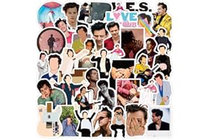 FANCICO Harry Singer Laptop Aufkleber Pack 100 Stück, Aufkleber Einzigartige Coole Aufkleber Wasserflasche Notebook Gitarre Skateboard Travel Teens Aufkleber