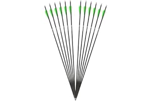 ‎DRAKE ARCHERY 12 Stück Komplettpfeil Drake Fire Carbon-Hybrid Pfeil für Bogenschießen 30 Zoll Bogen Pfeil