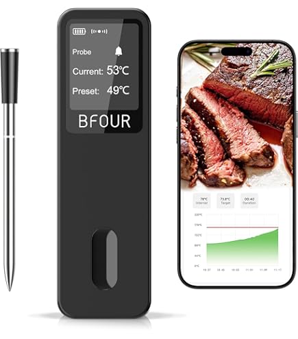 Thermomètre De Cuisson Sans Fil Bluetooth Outdoorchef Easy Check Dual - 2 Sondes, Portée 200m, écran Et Application