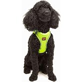 Tailpetz Air-Mesh K&uuml;&ccedil;&uuml;k ve Orta Irk Kedi K&ouml;pek G&ouml;ğ&uuml;s Tasması - Yumuşak, Nefes Alabilir, Dayanıklı (Neon-Sarı, XSmall)