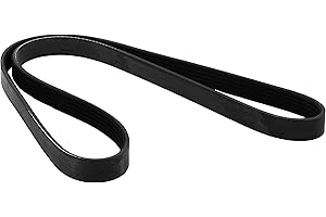 DAYCO 5PK1155 CINGHIA POLY-V HONDA JAZZ