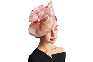 DRESHOW Fascinator Hüte für Damen Pillbox Hut mit Schleier Stirnband und Einer Gegabelten Clip Tea Party Kopfbedeckung