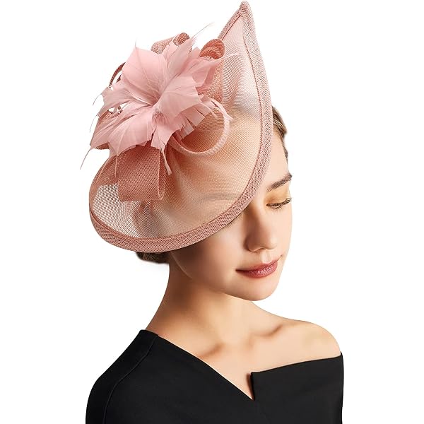Fascinator Chapeau à Plumes Avec Bandeau Et Clip - DRESHOW - Pour Mariage, Thé, Cocktail - Style Vintage Élégant