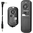 Pixel Wireless Shutter Remote Control RW/L1 for Panasonic DMC G1 G2 G3 G5 G6 G7 G10 G70 Gf1 GH2 GH3 GH4 GX7 L1 L10 LC-1 FZ20 FZ20K FZ20S FZ30 FZ30K FZ50K FZ50S FZ100 FZ150 FZ200 FZ1000