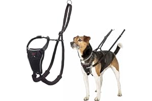 COMPANY OF ANIMALS HALTI No Pull Harness Size Small, Professional Dog Harness to Stop Pulling on the Lead, Easy to Use, Anti-Pull Training Aid, Adjustable, Reflective and Breathable, For Small Dogs, Black