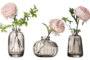 NWVUOP 3er-Set Kleine Vasen für Tischdeko Dekorativ Glasvasen Blumenvase Set Bud Vase Grau