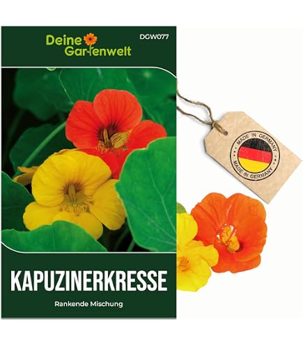 Esparsette (Onabrychis viciifolia) Samen. Saat-Esparsette oder auch Futter- Esparsette (1000 Samen = 20,0g) : Amazon.de: Garten