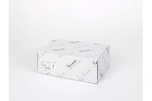 BONG Tyvek Gusseted Envelopes Extra Capacity Strong C4 H324xW229xD38mm White Ref R4120 [Pack of 100]