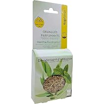20 Sacchetti Per Aspirapolvere + 20 Profumatori Per Progress Calypso E Maximus: Tessuto Non Tessuto, 2 Filtri Motore Inclusi, Compatibili Con Modelli Sele