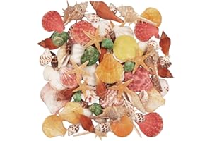 JANGOSTOR 100PCS Sea Shells Mixed Ocean Beach Seashells with Starfish Perfect for Vase Fillers, Beach Theme Party Home Decorations,DIY Crafts, Fish Tank,Candle Making