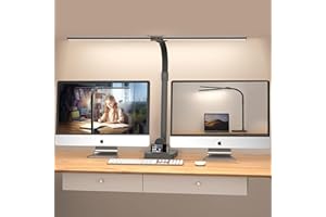 LOTTBUTY Double Head Desk Lamp LED Dimmable 24 W 80 cm Home Office Daylight Lamp Desk Lamp Gooseneck Office Table Lamp Black Eye Protection Monitor Lamp 5 Colour Modes