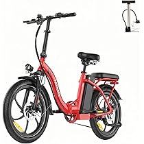 Fafrees F20+ Elektro-Faltrad 2025 - 20 Zoll Fatbike, 250W Motor, 75-90km Reichweite, Faltbar