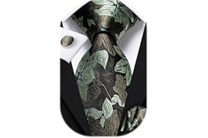 Dubulle Mens Tie Set Paisley Floral Checks Neckties for Men Silk Pocket Square Cufflinks Suit Wedding