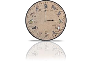 ST HELENS HOME & GARDEN Wild Birds Design Outdoor/Indoor Wall Clock. Garden, Patio Clock. Outdoor Clocks. Waterproof Clock.