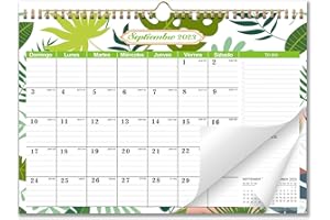 AEYAKA Calendario 2023-2024 Calendarios de Pared, Planificador Mensual, 16 Meses Septiembre 2023 Diciembre 2024 Resumen de vacaciones, 30 cm x 43 cm Español A