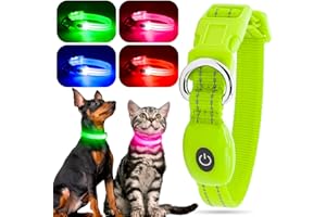 YFbrite Leuchtende Hundehalsbänder, USB-aufladbares LED-Hundehalsband, verstellbares LED-Katzenhalsband, langlebiges Blinkhalsband für Katzen, Welpen, kleine, mittelgroße und große Hunde (Grün, XS)