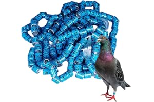 Vogelbeinbänder 2025,2025 Taubenbeinringe - Sichere Taubenringe - Pigeon Supplies Bänder, Vogelfußringe, Pegeon-Zubehör für Rennpapageien, Küken, Enten Aibyks