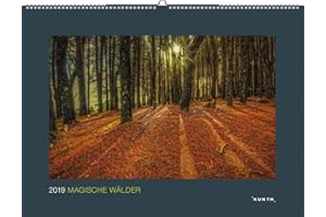Magische Wälder 2021: Wandkalender (KUNTH Wandkalender Black Edition)