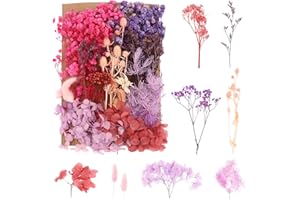 BOLOSA Natural Dried Flowers Real Dried Pressed Flowers Dry Leaves Kit, Dried Flowers for Crafts, Candle, Soap Making, Resin, Jewelry, Scrapbooking, Cards Making (Purple)