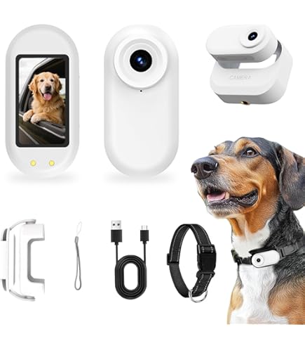 Katze Kamera Halsband, Upgrade 360 Drehbar 1080P HD Katze Hundehalsband  Kamera mit 8GB SD Karte, Hund Katzenhalsband Kamera fr Haustierbedarf,  Videoaufzeichnungen Kabellose Kamera fr Katzen Hunde : Amazon.de: Haustier