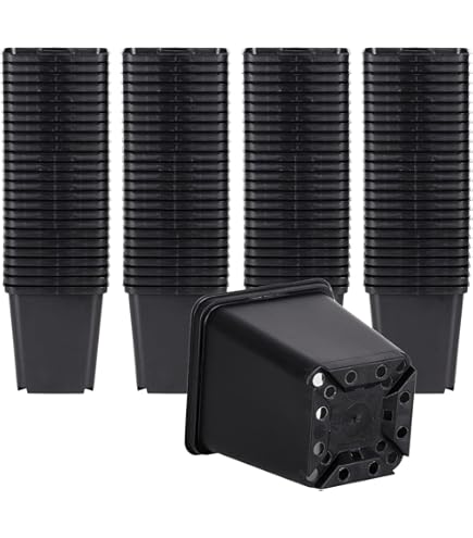 GREEN24 100 Stck Pflanztpfe Pro als Vierecktopf 7x7x8 cm Anzuchttpfe  Pflanztpfe Blumentpfe : Amazon.de: Garten