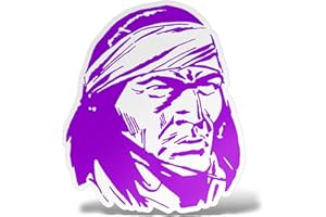 ERREINGE Sticker FIORENTINA INDIANO ULTRAS SUPPORTERS Adesivo sagomato in PVC per Decalcomania Parete Murale Auto Moto Casco Camper Laptop - cm 10