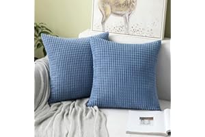 MIULEE Housses de Coussins en Polyester Doux Granulés Granule Lancer Set Taies d'oreiller Décoratif Solid pour Canapé Chambre Coiture 45x45cm 2 Pièces Bleu Clair