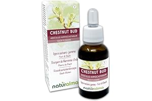 ‎NATURALMA Chestnut bud lub Kasztanowiec pospolity (Aesculus hippocastanum) Kwiaty Bacha Naturalma - Krople 30 ml - Płynny ekstrakt bezalkoholowy - Esencje kwiatowe - Wegański i bezalkoholowy