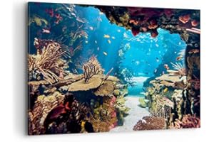 ARTTOR Deco Cadre Décoration Salon Océan Récif Poissons Corail Moderne Impression sur Toile 120x80cm Image Tableau Decoration Murale Chambre Horizontal Art Wall Tableaux Decoratifs Muraux AA120x80-2872