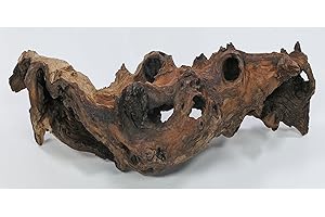 ‎DEGGELBAM Mopani Wurzel Größe M // Echtholzwurzel Aquariumdekoration Garnelen Zierfische Hard Scape 20cm - 30cm (Mangrove Savanna)