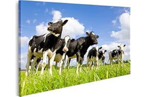 islandburner Tableau sur Toile Vaches Holstein sur Le pré Cadre Affiche Poster Murale Tableaux