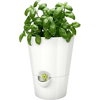 Kräutertopf Set, 4 teilig, 3 Töpfe und 1 Untersetzer, mit